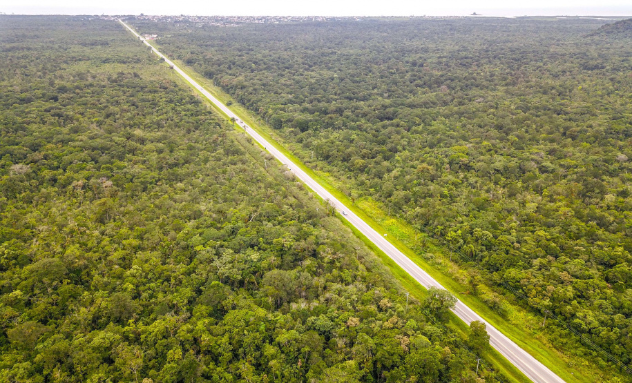 DER/PR define vencedor da licitação do anteprojeto de duplicação entre Guaratuba e Santa Catarina