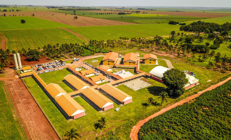 COLÉGIO AGRÍCOLA