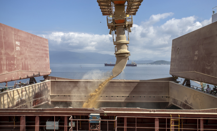 Terminais paranaenses esperam exportar mais de 6,5 milhões de toneladas de granéis neste 2º semestre