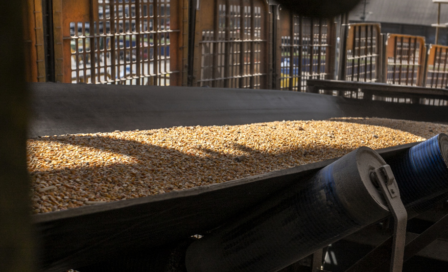 Terminais paranaenses esperam exportar mais de 6,5 milhões de toneladas de granéis neste 2º semestre