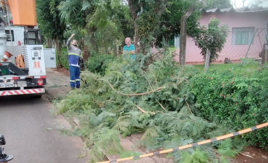 Copel promove mutirão de manutenção e limpeza de redes nas regiões Oeste e Sudoeste