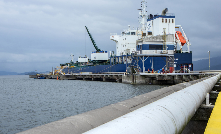 Exportações do complexo soja pelo Porto de Paranaguá crescem 25% no 1º trimestre