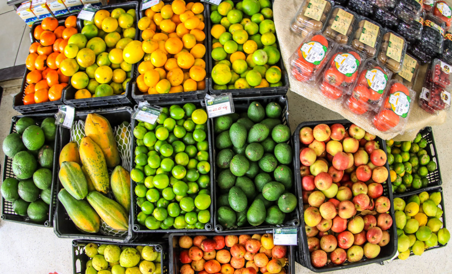 Paraná ganha a partir desta sexta-feira mapa estadual de feiras orgânicas e agroecológicas