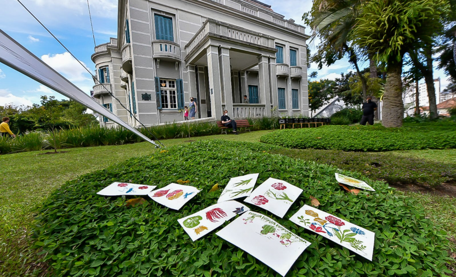 Feriado tem estreia do Balé Guaíra, atividade coletiva no MUPA e museus de portas abertas