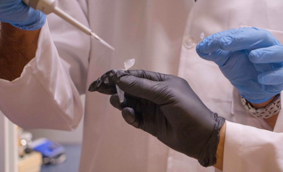 Professores da Pós em Zootecnia aprovam projeto junto ao CNPq sobre qualidade do leite