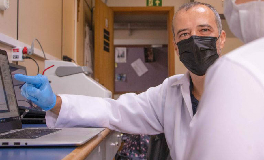 Professores da Pós em Zootecnia aprovam projeto junto ao CNPq sobre qualidade do leite