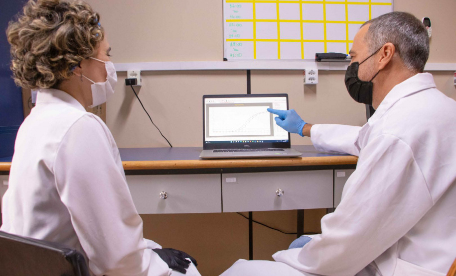 Professores da Pós em Zootecnia aprovam projeto junto ao CNPq sobre qualidade do leite