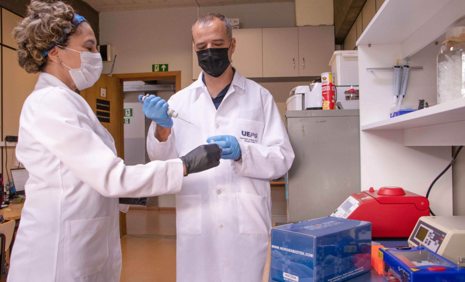 Professores da Pós em Zootecnia aprovam projeto junto ao CNPq sobre qualidade do leite