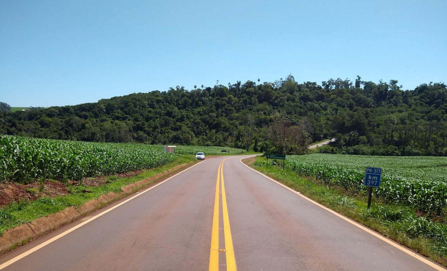 Trecho da PR-317 entre Toledo e Santa Helena recebe reforço na sinalização viária