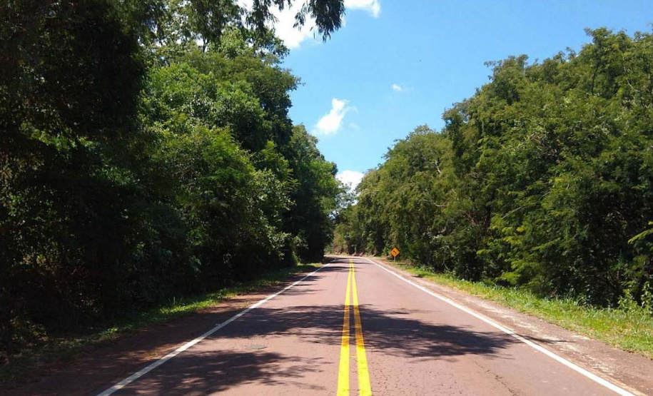 Trecho da PR-317 entre Toledo e Santa Helena recebe reforço na sinalização viária