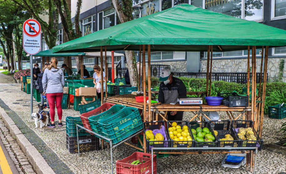 Paraná ganha a partir desta sexta-feira mapa estadual de feiras orgânicas e agroecológicas