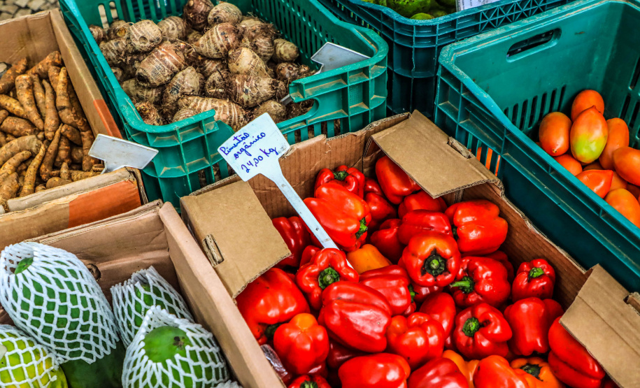 Paraná ganha a partir desta sexta-feira mapa estadual de feiras orgânicas e agroecológicas