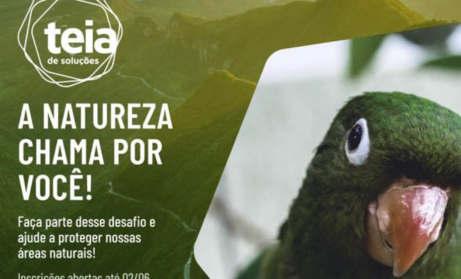 Chamada seleciona soluções para fortalecer áreas naturais protegidas