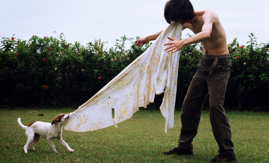 “Insólitos”, nova mostra do MAC Paraná, inaugura Clube de Colecionadores do museu