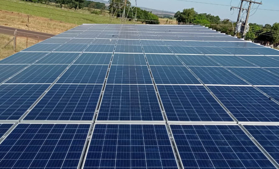 Apoio do Estado e cooperativismo ajudam a promover agricultura orgânica no Paraná