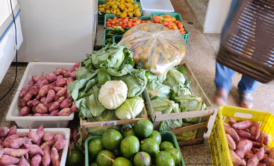 Compras públicas impulsionam produção e consumo de orgânicos no Paraná