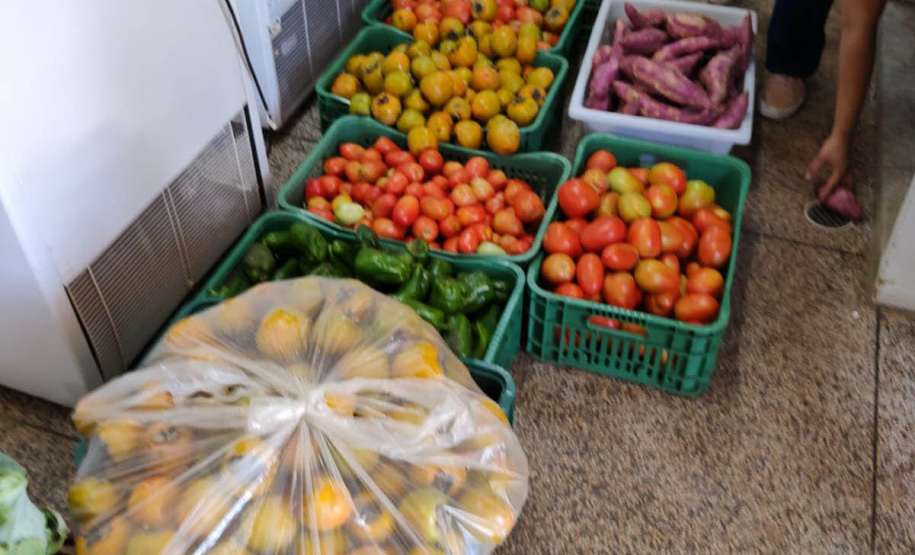 Compras públicas impulsionam produção e consumo de orgânicos no Paraná