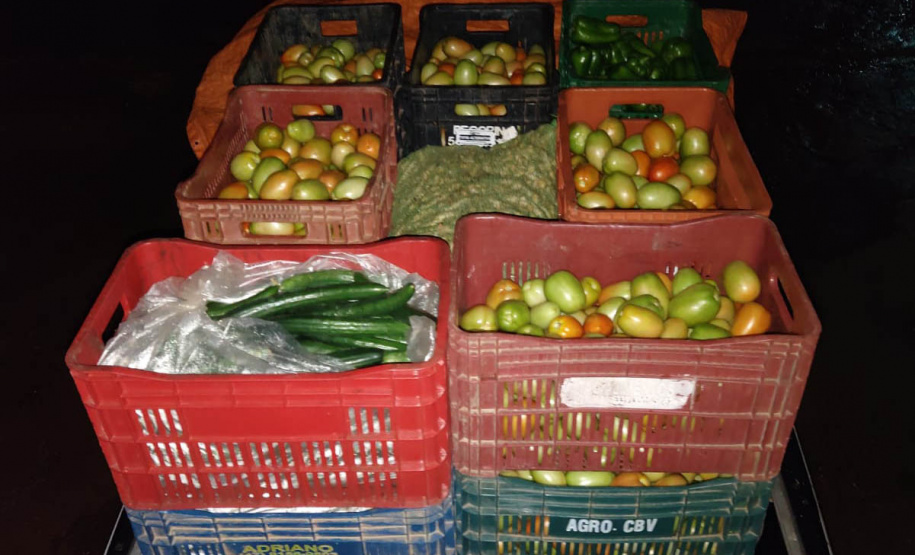 Compras públicas impulsionam produção e consumo de orgânicos no Paraná