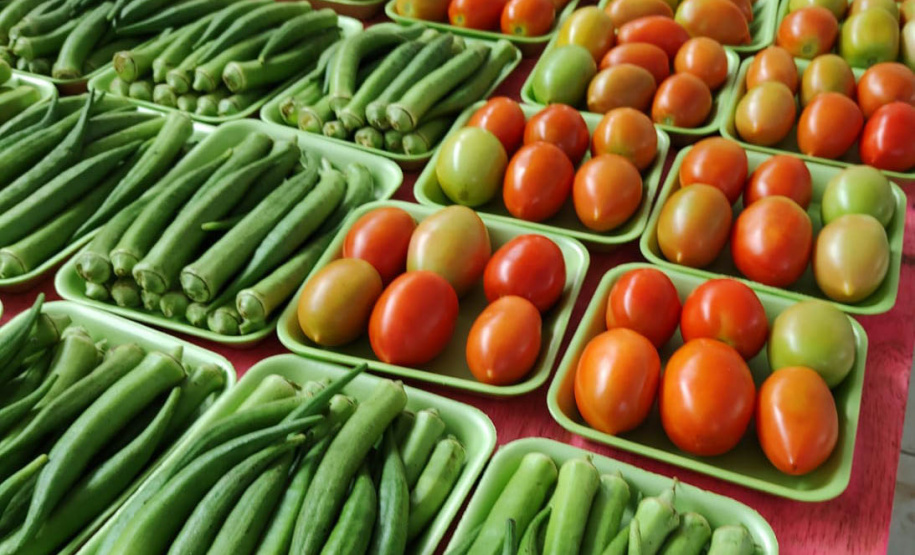 Compras públicas impulsionam produção e consumo de orgânicos no Paraná