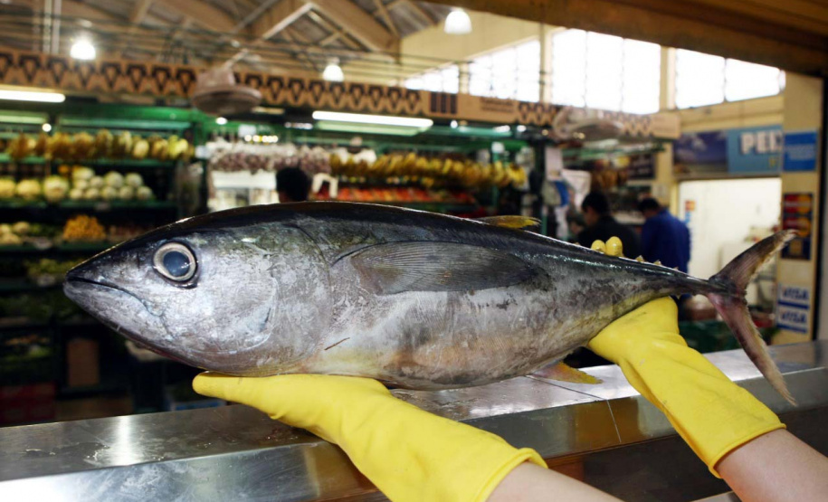 Vigilância Sanitária alerta sobre cuidados na compra de pescados para a Semana Santa