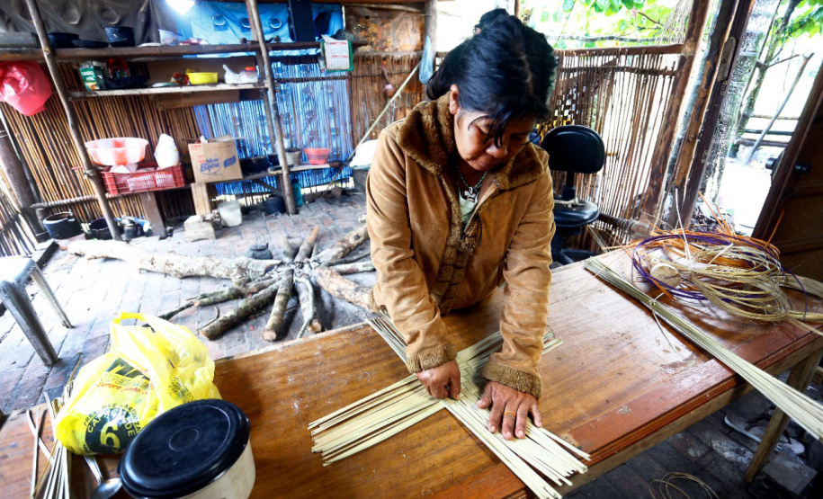 Ações fortalecem saúde indígena no Paraná -