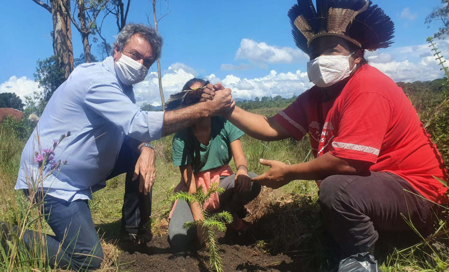 No Dia dos Povos Indígenas, IAT relembra parceria para conservação e recuperação da Floresta Estadual Metropolitana