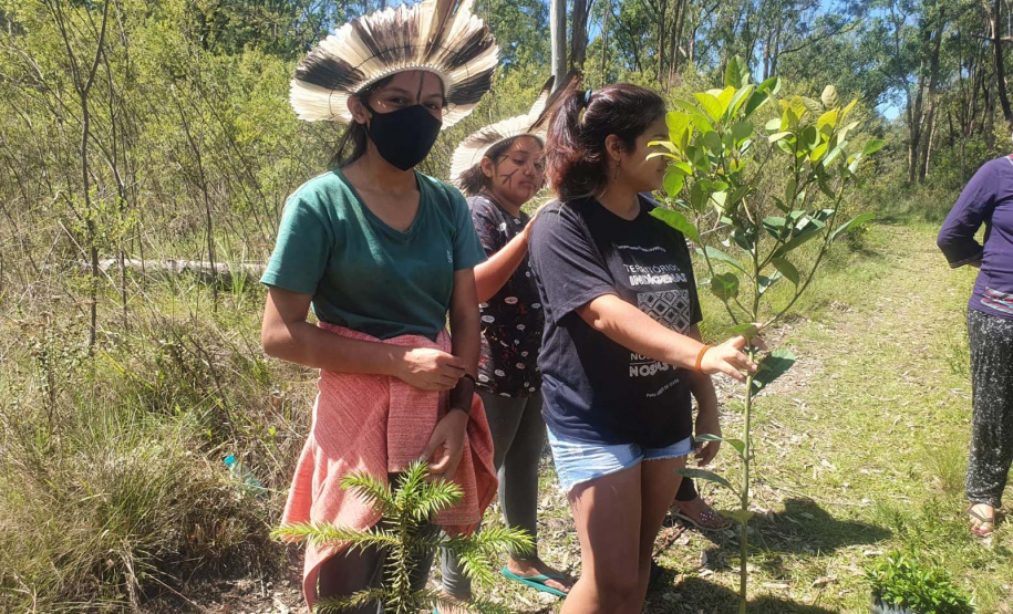 No Dia dos Povos Indígenas, IAT relembra parceria para conservação e recuperação da Floresta Estadual Metropolitana