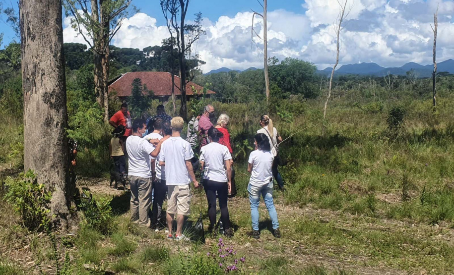 No Dia dos Povos Indígenas, IAT relembra parceria para conservação e recuperação da Floresta Estadual Metropolitana
