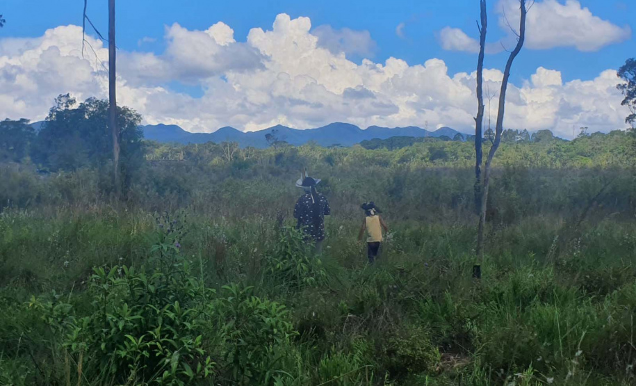 No Dia dos Povos Indígenas, IAT relembra parceria para conservação e recuperação da Floresta Estadual Metropolitana