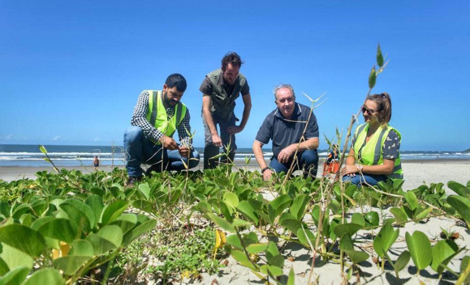 Litoral terá mais de 100 mil metros quadrados de restinga plantada em 2024