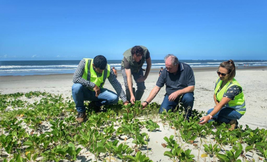 Litoral terá mais de 100 mil metros quadrados de restinga plantada em 2024