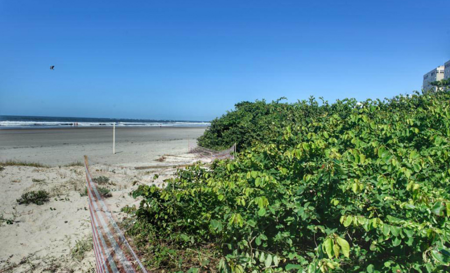 Litoral terá mais de 100 mil metros quadrados de restinga plantada em 2024