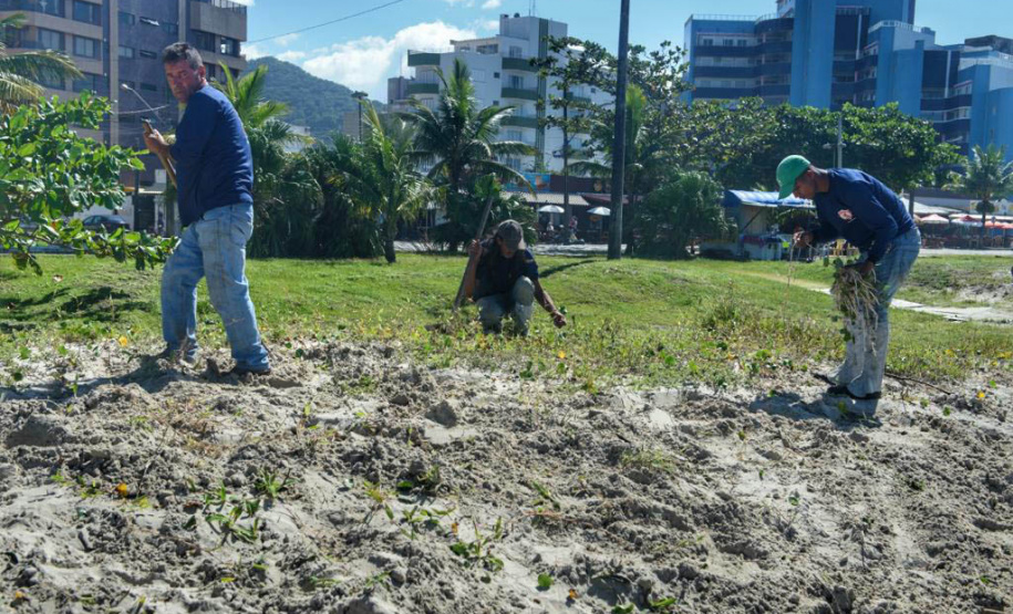 Litoral terá mais de 100 mil metros quadrados de restinga plantada em 2024