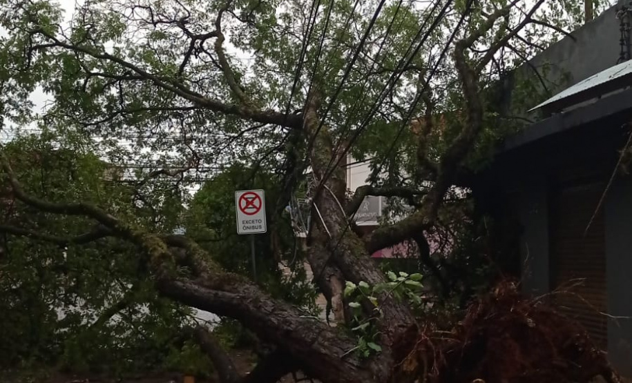 Após fortes chuvas, equipes da Copel trabalham em todo o Estado para recompor rede de energia