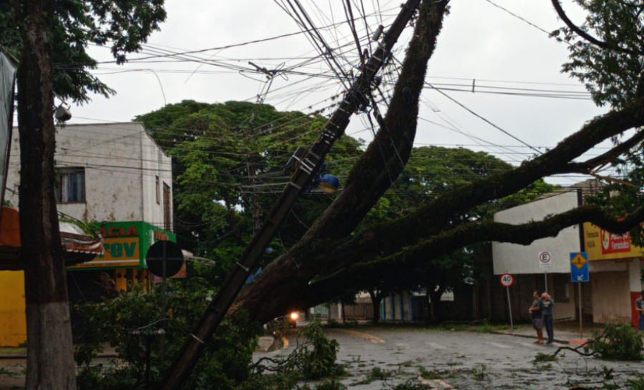 Após fortes chuvas, equipes da Copel trabalham em todo o Estado para recompor rede de energia