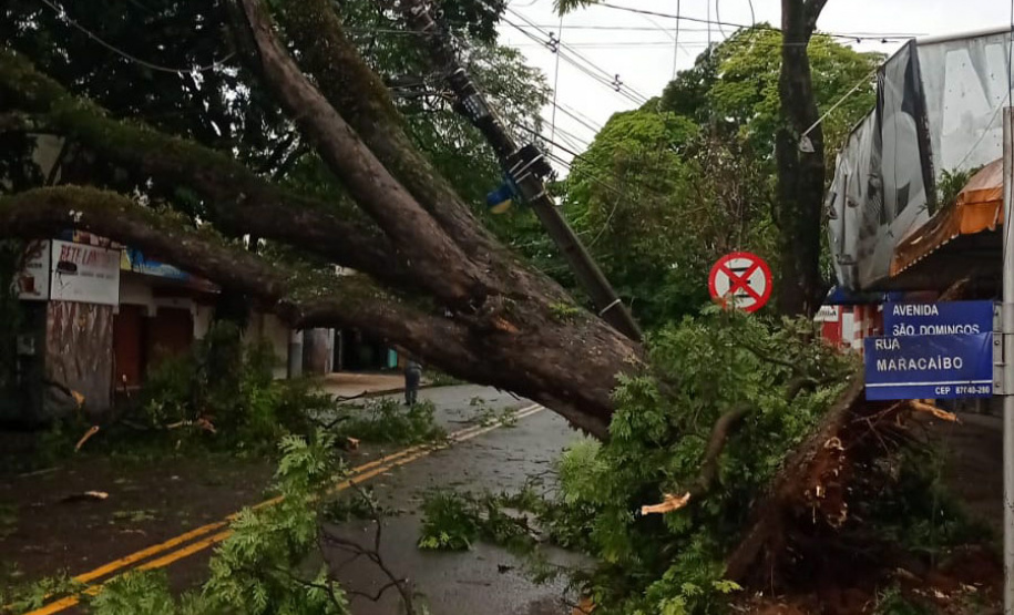 Após fortes chuvas, equipes da Copel trabalham em todo o Estado para recompor rede de energia