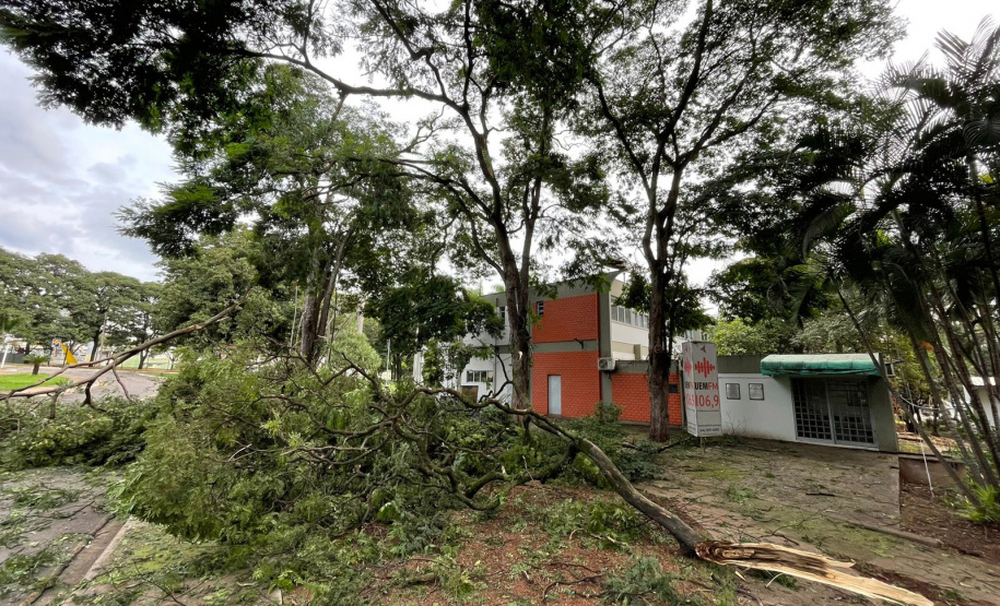 UEM suspende atividades letivas dia 25