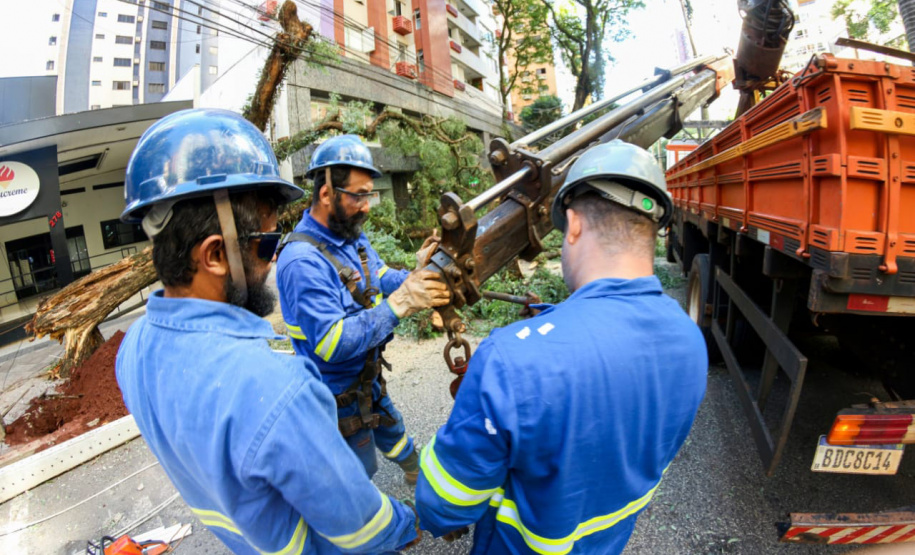 Com trabalho intenso durante a noite, Copel religa quase 90% das unidades afetadas pelo temporal - Na foto, trabalhos na área central dae Maringá: avenidas Mandacaru, XV de Novembro, Colombo e Rua Piratininga - Curitiba, 24/04/2022
