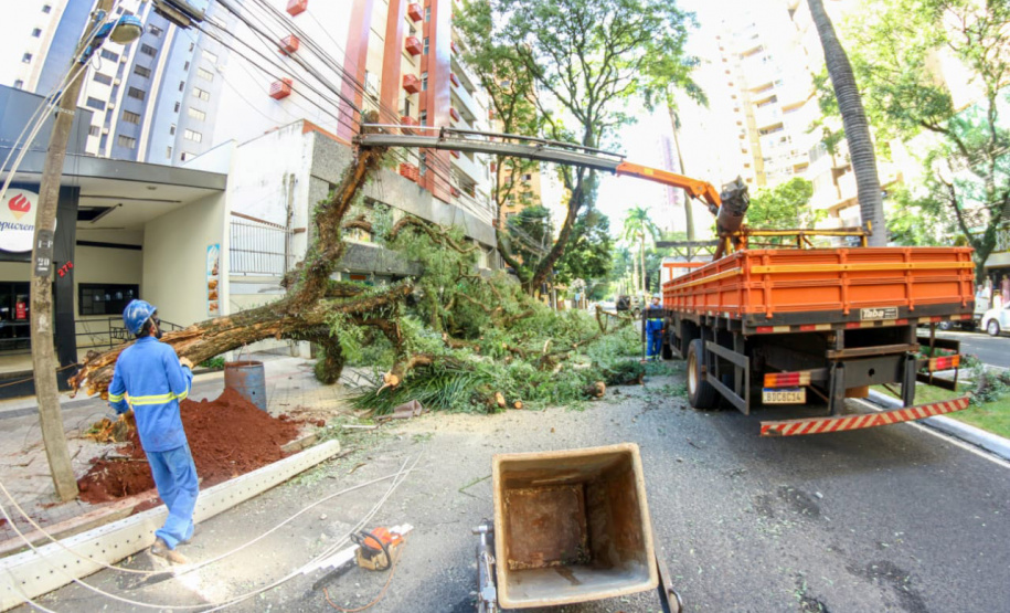 Com trabalho intenso durante a noite, Copel religa quase 90% das unidades afetadas pelo temporal - Na foto, trabalhos na área central dae Maringá: avenidas Mandacaru, XV de Novembro, Colombo e Rua Piratininga - Curitiba, 24/04/2022