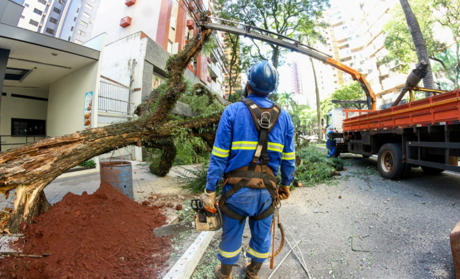 Com trabalho intenso durante a noite, Copel religa quase 90% das unidades afetadas pelo temporal - Na foto, trabalhos na área central dae Maringá: avenidas Mandacaru, XV de Novembro, Colombo e Rua Piratininga - Curitiba, 24/04/2022
