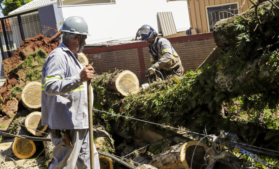Com trabalho intenso durante a noite, Copel religa quase 90% das unidades afetadas pelo temporal - Na foto, trabalhos na área central dae Maringá: avenidas Mandacaru, XV de Novembro, Colombo e Rua Piratininga - Curitiba, 24/04/2022 Com trabalho intenso durante a noite, Copel religa quase 90% das unidades afetadas pelo temporal - Na foto, trabalhos na área central de Maringá: avenidas Mandacaru, XV de Novembro, Colombo e Rua Piratininga - Curitiba, 24/04/2022