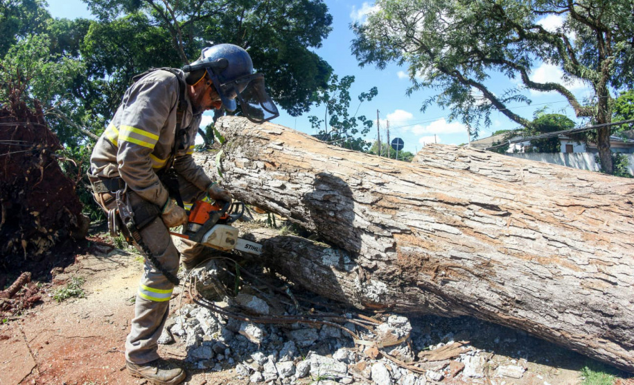Com trabalho intenso durante a noite, Copel religa quase 90% das unidades afetadas pelo temporal - Na foto, trabalhos na área central dae Maringá: avenidas Mandacaru, XV de Novembro, Colombo e Rua Piratininga - Curitiba, 24/04/2022 Com trabalho intenso durante a noite, Copel religa quase 90% das unidades afetadas pelo temporal - Na foto, trabalhos na área central de Maringá: avenidas Mandacaru, XV de Novembro, Colombo e Rua Piratininga - Curitiba, 24/04/2022