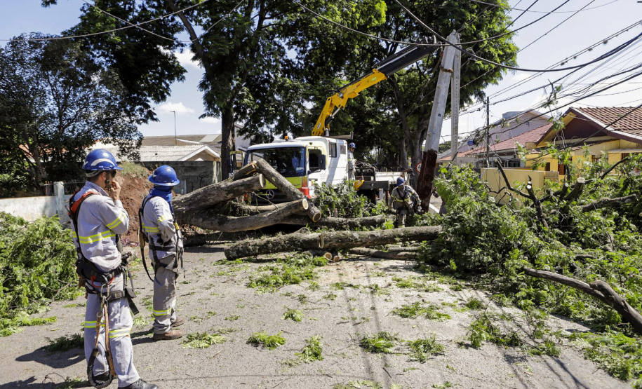 Com trabalho intenso durante a noite, Copel religa quase 90% das unidades afetadas pelo temporal - Na foto, trabalhos na área central dae Maringá: avenidas Mandacaru, XV de Novembro, Colombo e Rua Piratininga - Curitiba, 24/04/2022 Com trabalho intenso durante a noite, Copel religa quase 90% das unidades afetadas pelo temporal - Na foto, trabalhos na área central de Maringá: avenidas Mandacaru, XV de Novembro, Colombo e Rua Piratininga - Curitiba, 24/04/2022