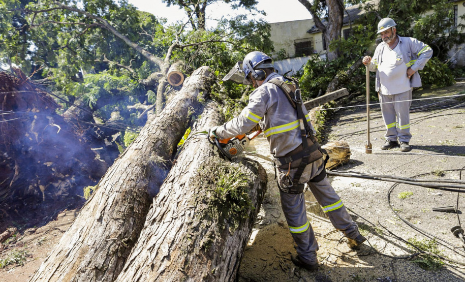 Com trabalho intenso durante a noite, Copel religa quase 90% das unidades afetadas pelo temporal - Na foto, trabalhos na área central dae Maringá: avenidas Mandacaru, XV de Novembro, Colombo e Rua Piratininga - Curitiba, 24/04/2022 Com trabalho intenso durante a noite, Copel religa quase 90% das unidades afetadas pelo temporal - Na foto, trabalhos na área central de Maringá: avenidas Mandacaru, XV de Novembro, Colombo e Rua Piratininga - Curitiba, 24/04/2022