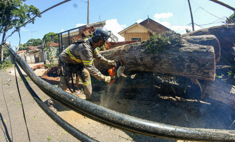Com trabalho intenso durante a noite, Copel religa quase 90% das unidades afetadas pelo temporal - Na foto, trabalhos na área central dae Maringá: avenidas Mandacaru, XV de Novembro, Colombo e Rua Piratininga - Curitiba, 24/04/2022 Com trabalho intenso durante a noite, Copel religa quase 90% das unidades afetadas pelo temporal - Na foto, trabalhos na área central de Maringá: avenidas Mandacaru, XV de Novembro, Colombo e Rua Piratininga - Curitiba, 24/04/2022