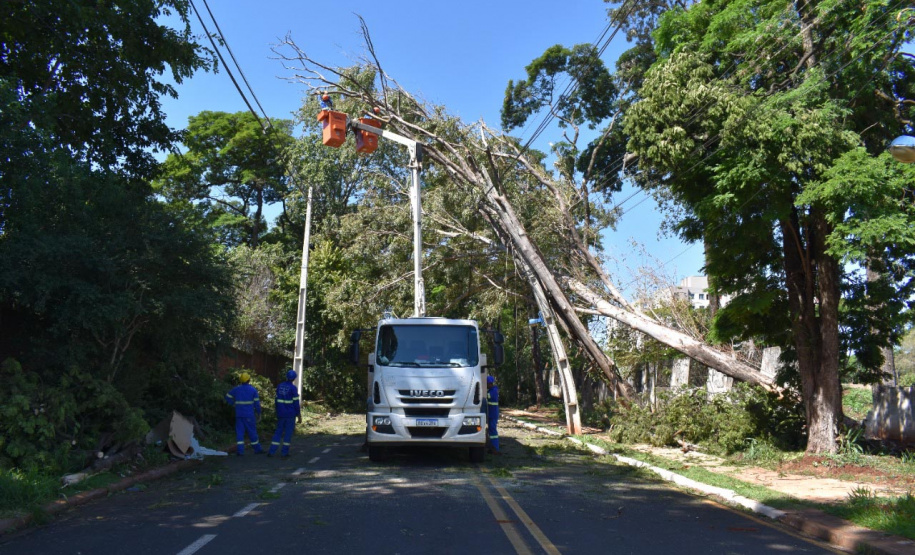 Equipes da Copel trabalham na reconstrução das redes elétricas danificadas pelo temporal do fim de semana - Curitiba, 25/04/2022