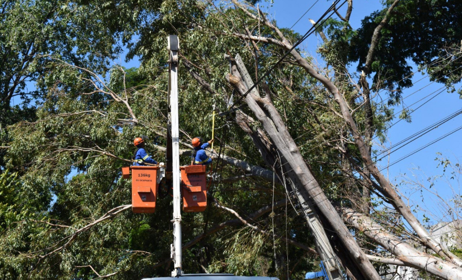 Equipes da Copel trabalham na reconstrução das redes elétricas danificadas pelo temporal do fim de semana - Curitiba, 25/04/2022