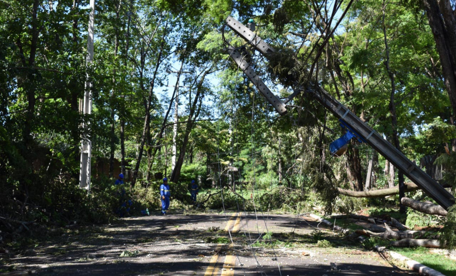 Equipes da Copel trabalham na reconstrução das redes elétricas danificadas pelo temporal do fim de semana - Curitiba, 25/04/2022