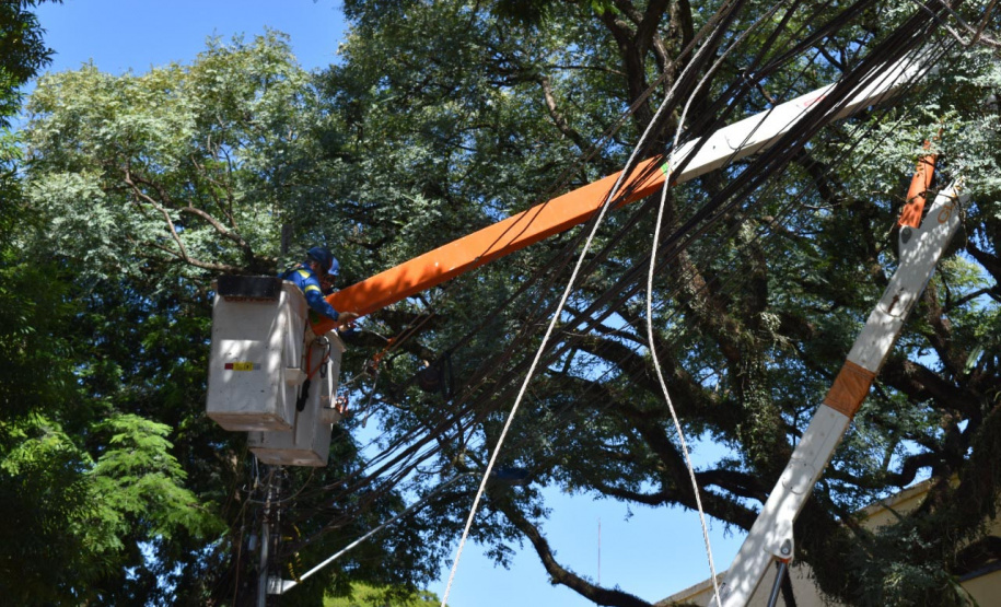 RESTAURAÇÃO DE REDE ELÉTRICA EM MARINGÁ
