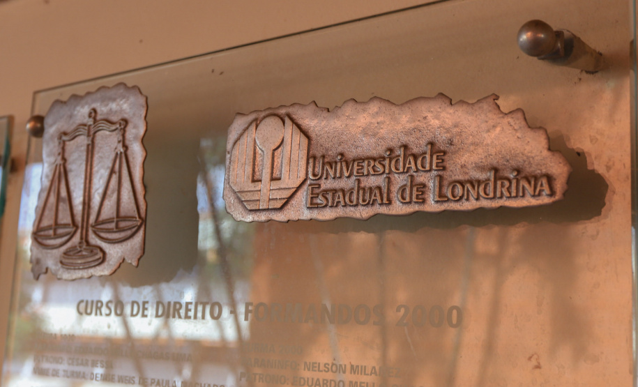 Pesquisa estuda inovações contratuais na área de Família e Sucessões